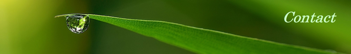Contact ヘッダー画像