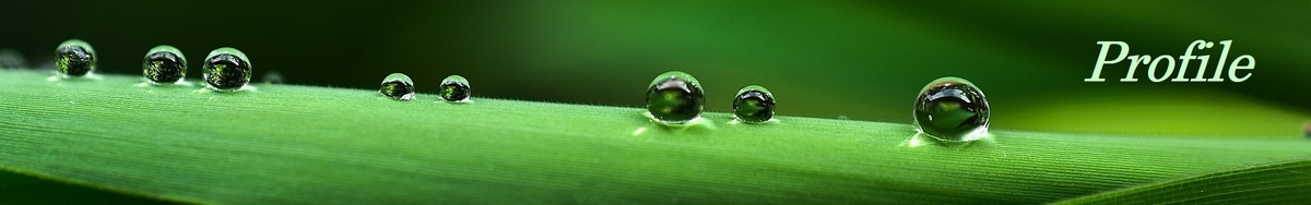 Profile ヘッダー画像